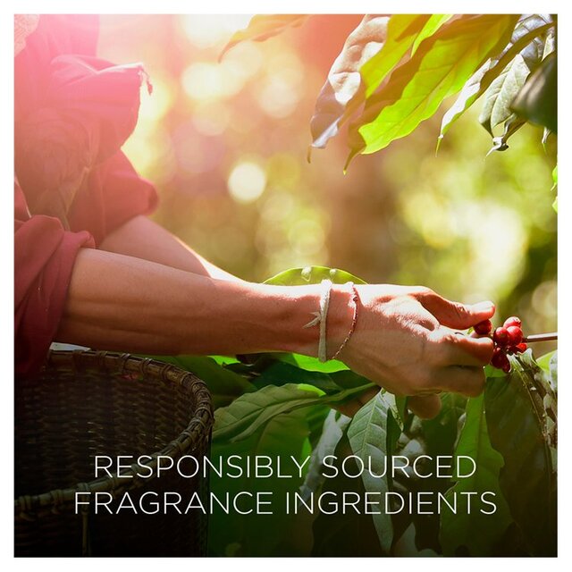 Airwick Botanica Candle Island Rose & African Geranium thumbnail 2