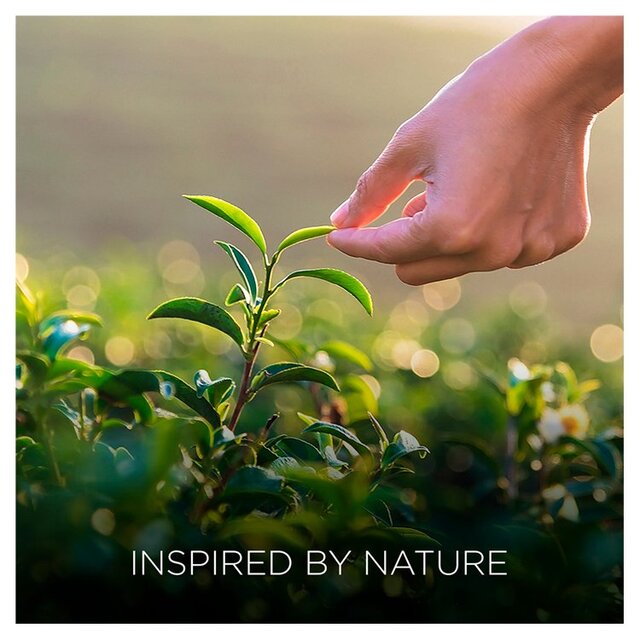 Airwick Botanica Candle Island Rose & African Geranium thumbnail 3