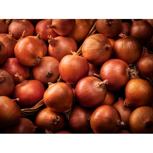 M&S Brown Cooking Onions thumbnail 2