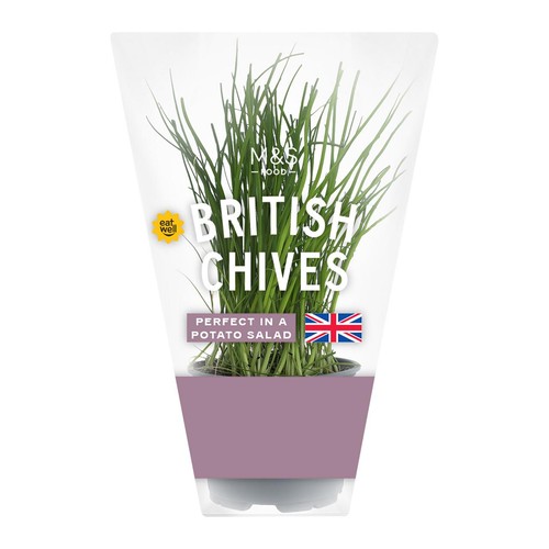 M&S Chive Pot
