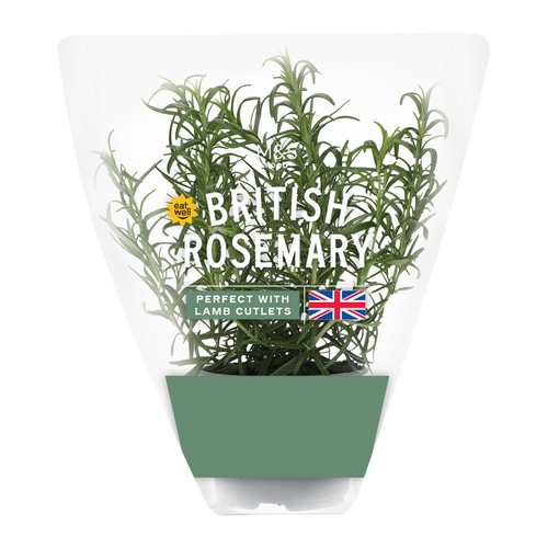 M&S Rosemary Pot thumbnail 2