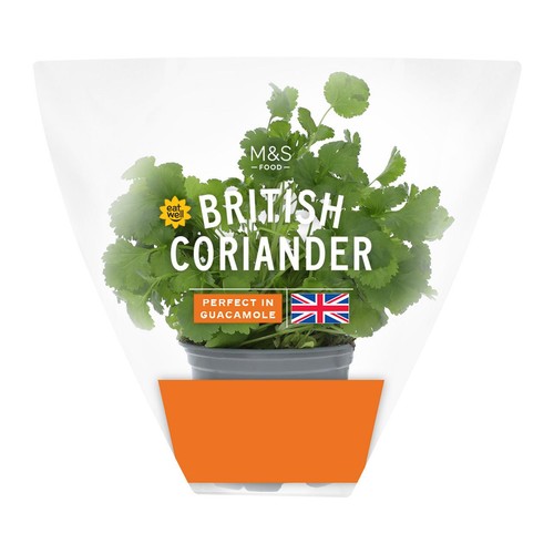 M&S British Coriander Pot thumbnail 2