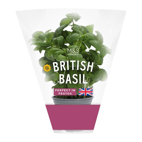 M&S British Basil Pot