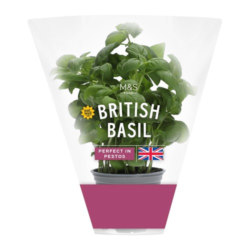 M&S British Basil Pot thumbnail 2