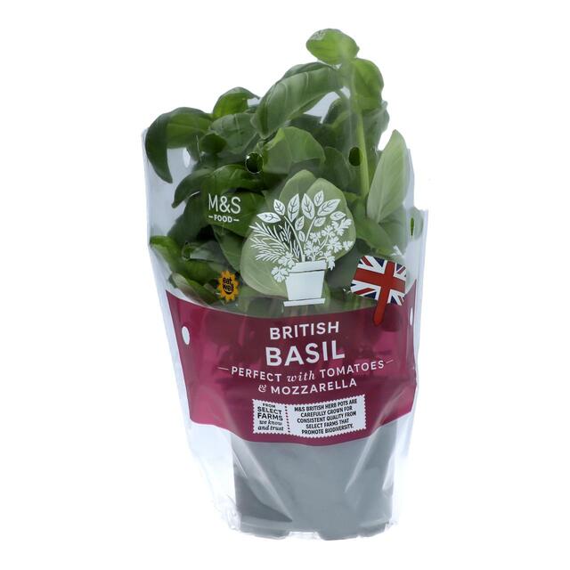 M&S British Basil Pot thumbnail 3