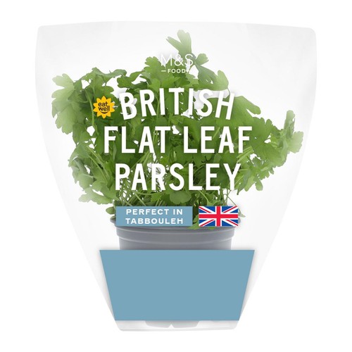 M&S British Flat Leaf Parsley Pot