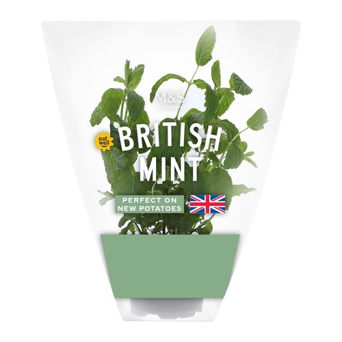 M&S British Mint Pot