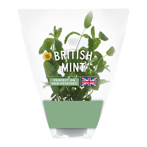 M&S British Mint Pot thumbnail 2