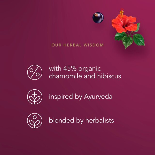 Pukka Organic Night Time Berry Herbal Tea x20 Compostable Sleep Tea Bags thumbnail 8