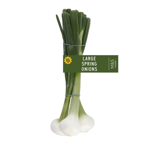 M&S Jumbo Spring Onions