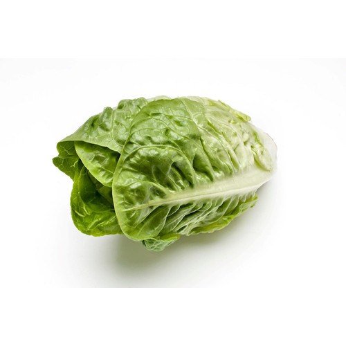 M&S Little Gem Lettuce thumbnail 3