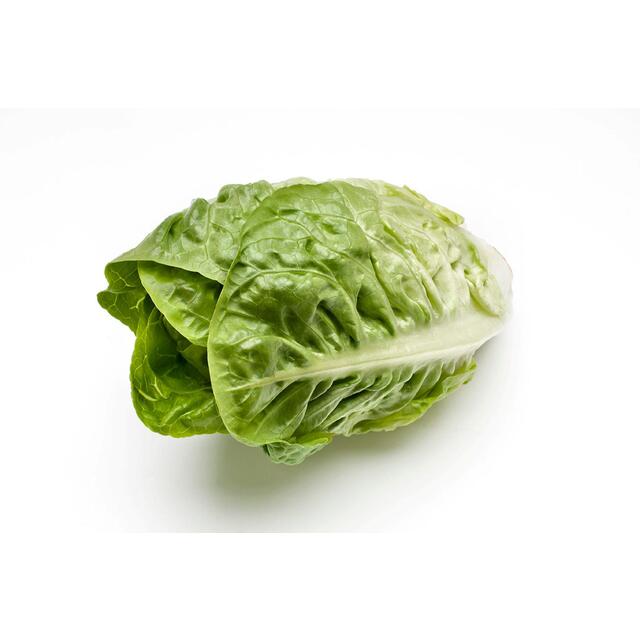 M&S Little Gem Lettuce thumbnail 2