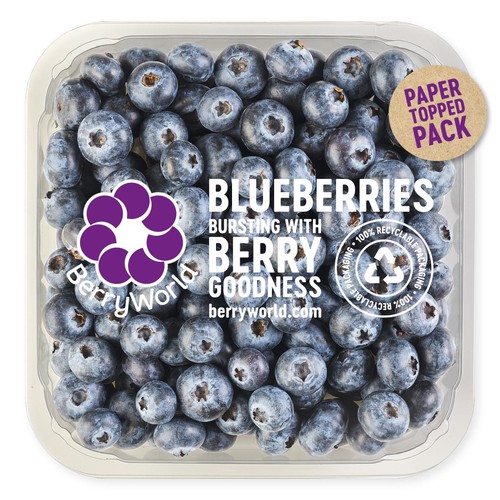 BerryWorld Blueberries