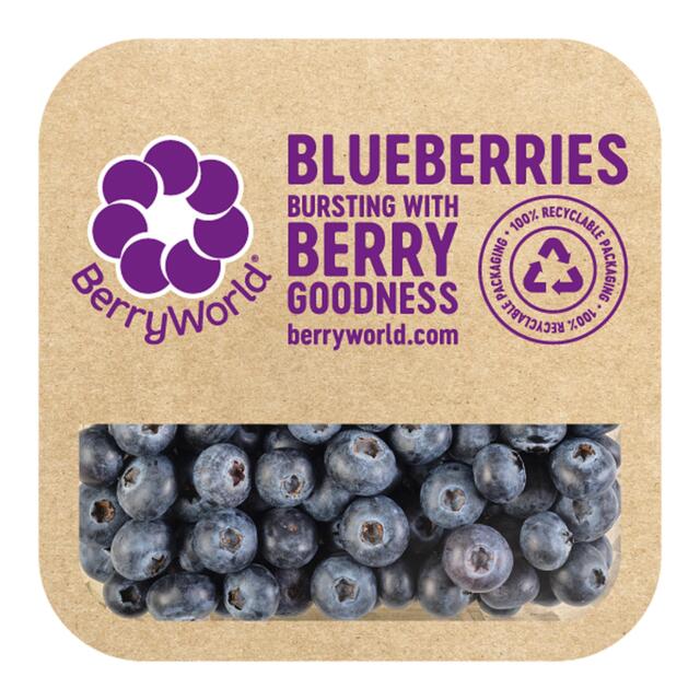 BerryWorld Blueberries