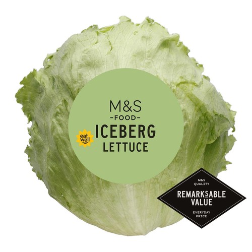 M&S Iceberg Lettuce