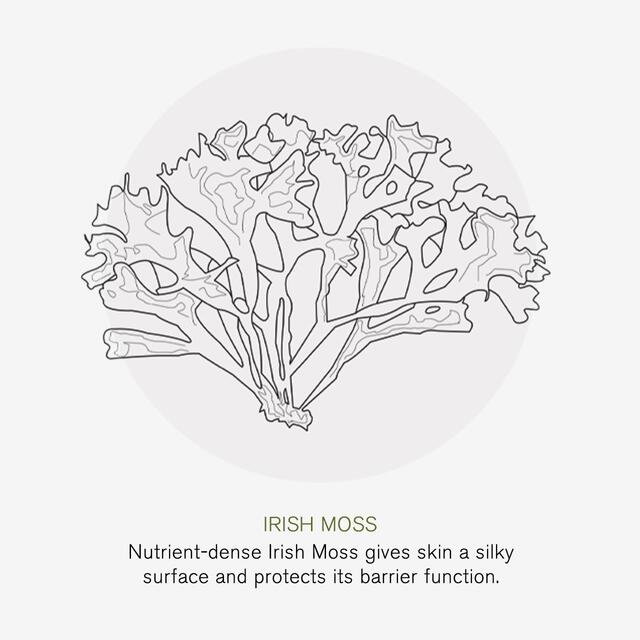 Green People Soothing Wash and Shave Gel Mens thumbnail 6