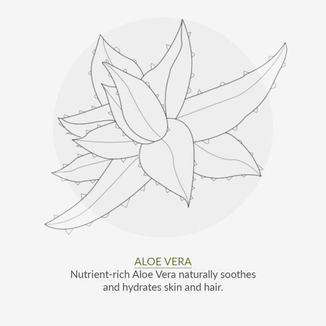 Green People Soothing Wash and Shave Gel Mens thumbnail 7