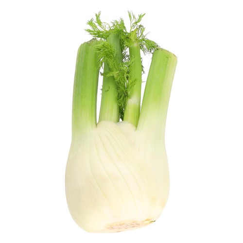 M&S Fennel