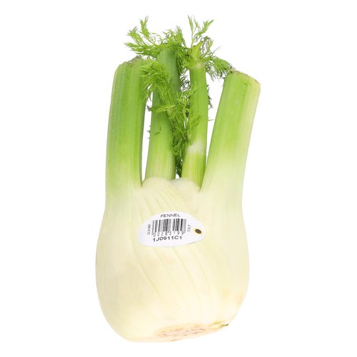 M&S Fennel thumbnail 2
