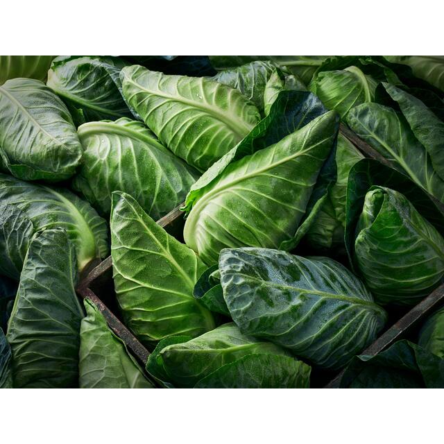 M&S Sweetheart Cabbage thumbnail 3