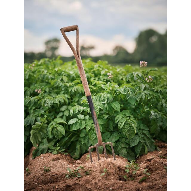 M&S Baby New Potatoes thumbnail 4