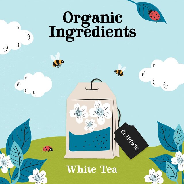 Clipper Organic & Fairtrade White Tea thumbnail 4