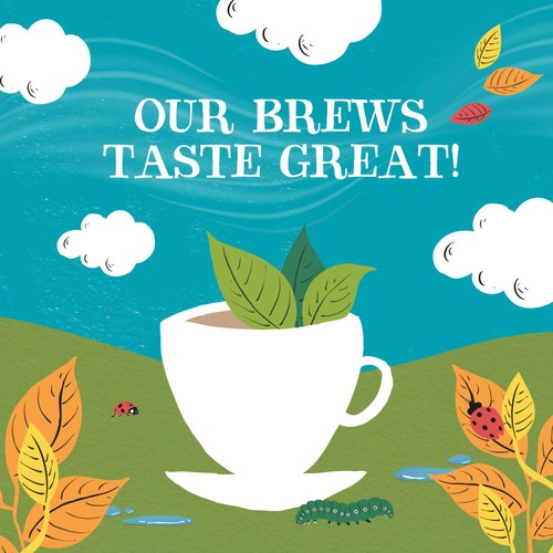 Clipper Organic & Fairtrade Everyday Tea Bags thumbnail 3