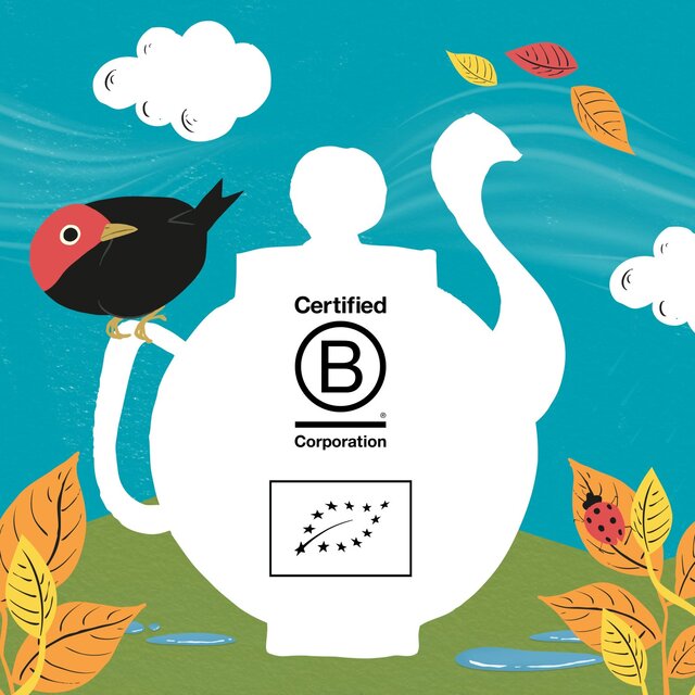 Clipper Organic & Fairtrade Everyday Tea Bags thumbnail 4