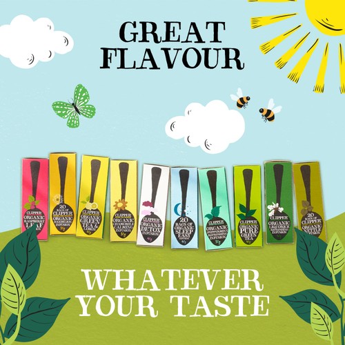 Clipper Organic & Fairtrade Green Tea thumbnail 9