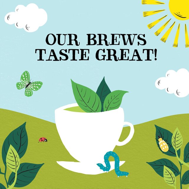 Clipper Organic & Fairtrade Green Tea thumbnail 4