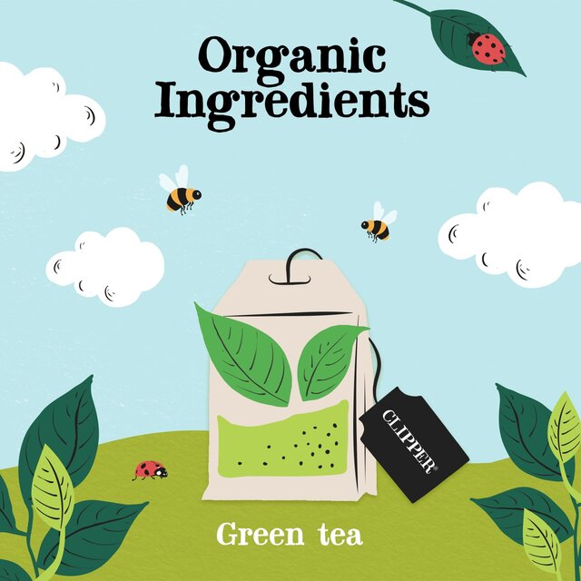 Clipper Organic & Fairtrade Green Tea thumbnail 5