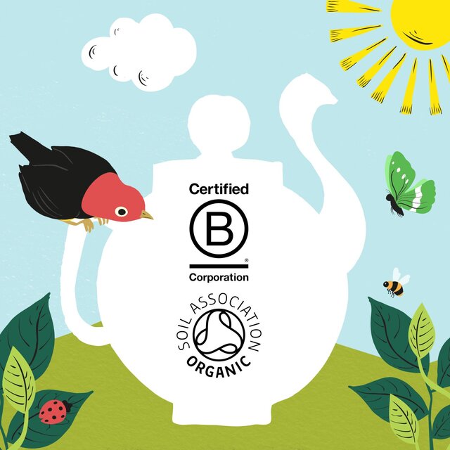 Clipper Organic & Fairtrade Green Tea thumbnail 6