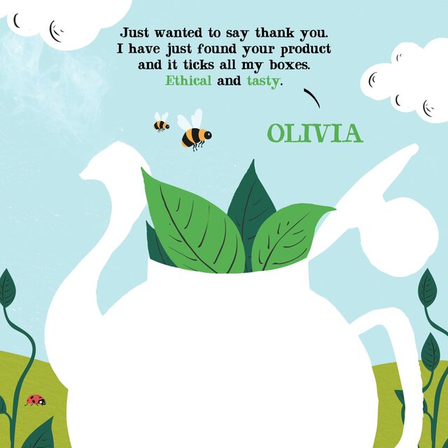 Clipper Organic & Fairtrade Green Tea thumbnail 7