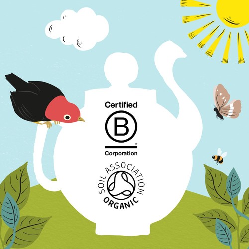 Clipper Organic & Fairtrade Decaffeinated Green Tea thumbnail 8