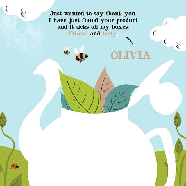 Clipper Organic & Fairtrade Decaffeinated Green Tea thumbnail 5