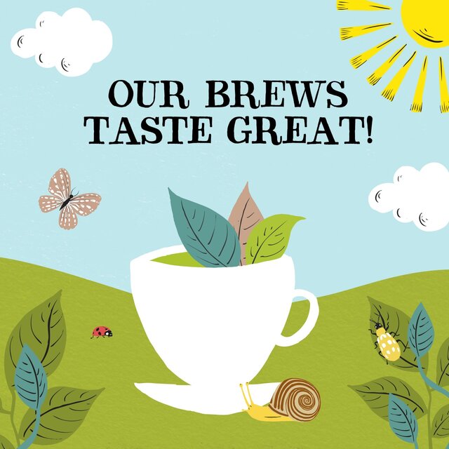 Clipper Organic & Fairtrade Decaffeinated Green Tea thumbnail 7