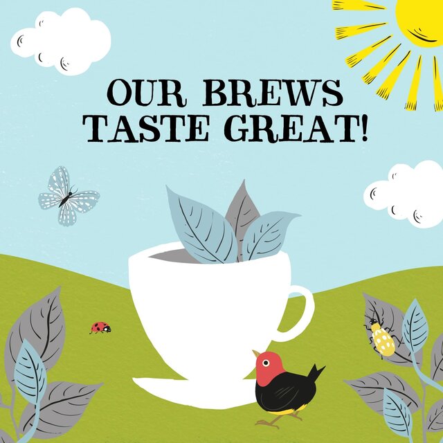 Clipper Organic & Fairtrade Earl Grey Tea Bags thumbnail 10