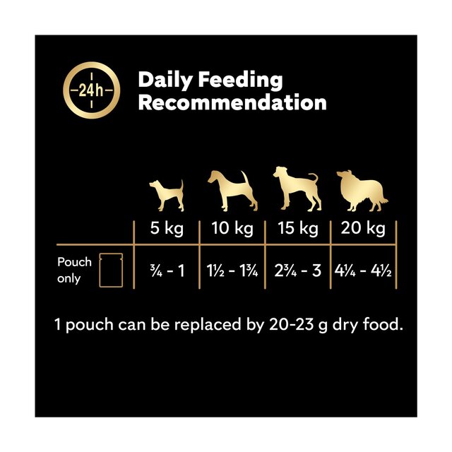 Cesar Deliciously Fresh Dog Food Pouches Mixed Selection in Sauce thumbnail 4