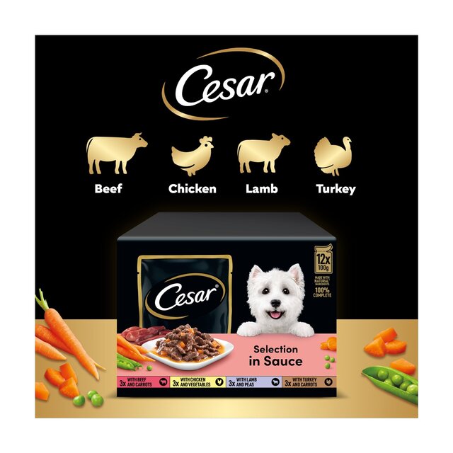 Cesar Deliciously Fresh Dog Food Pouches Mixed Selection in Sauce thumbnail 5