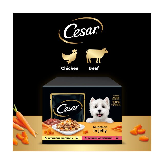 Cesar Deliciously Fresh Dog Food Pouches Mixed Selection in Jelly thumbnail 4
