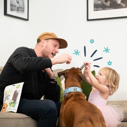 Edgard & Cooper Apple & Eucalyptus Large Dog Dental Sticks thumbnail 3