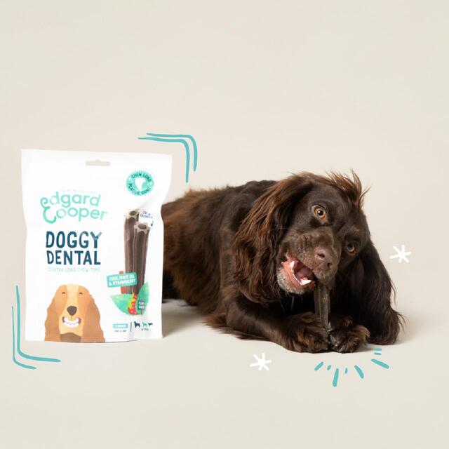 Edgard & Cooper Apple & Eucalyptus Medium Dog Dental Sticks thumbnail 3