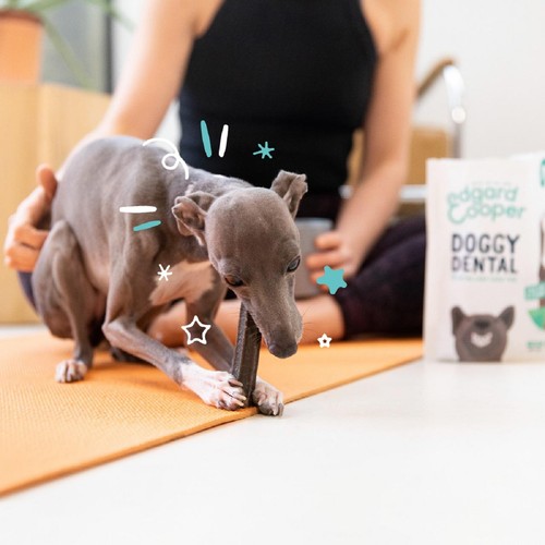 Edgard & Cooper Apple & Eucalyptus Small Dog Dental Sticks thumbnail 3