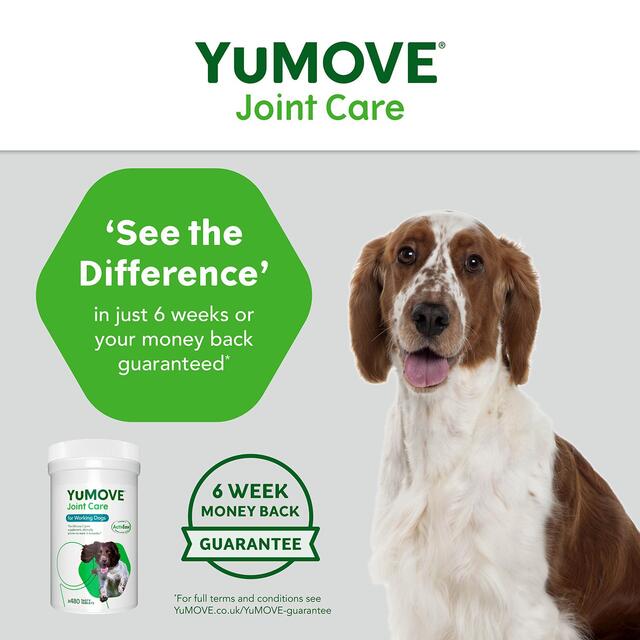 YuMove Working Dog Joint Supplement thumbnail 6