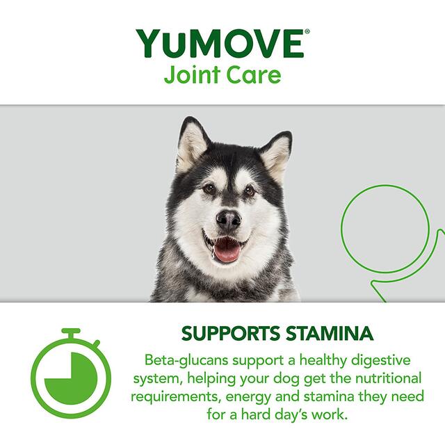 YuMove Working Dog Joint Supplement thumbnail 9