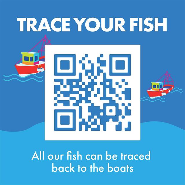 Fish 4 Ever Azores Tuna Fillets in Organic Olive Oil thumbnail 7