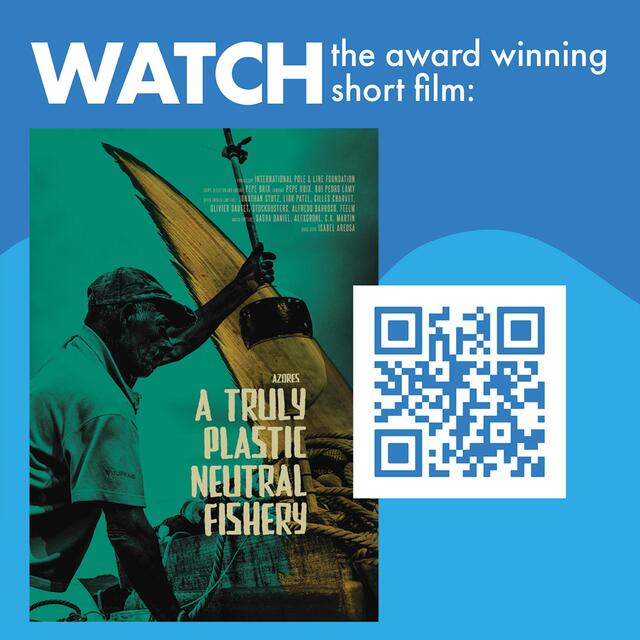 Fish 4 Ever Azores Tuna Fillets in Organic Olive Oil thumbnail 9