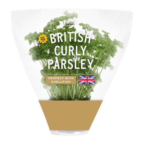 M&S British Curly Parsley Pot thumbnail 2
