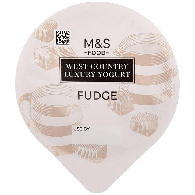 M&S West Country Luxury Fudge Yogurt thumbnail 2