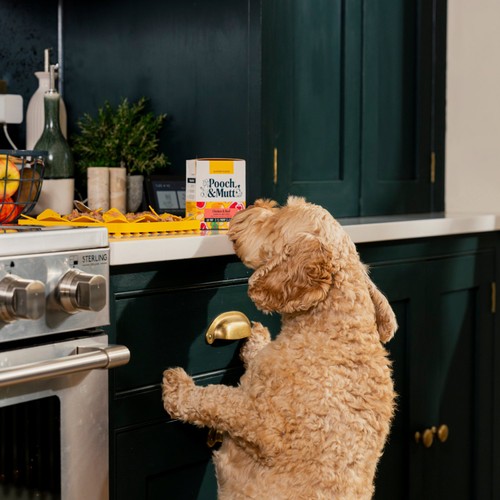 Pooch & Mutt Chicken with Beef Wet Food thumbnail 8